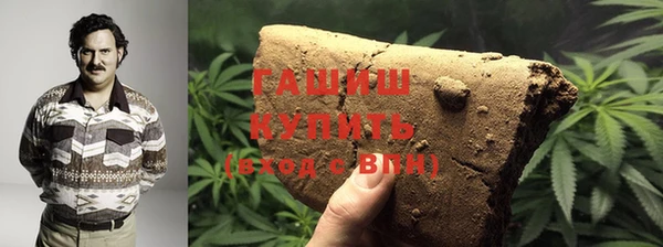 индика Горнозаводск